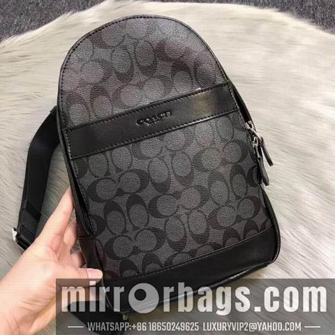 Coach Bags (XXL)54787