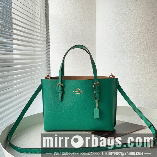 Coach Bags Coach C4250 25x19x110cm zy2