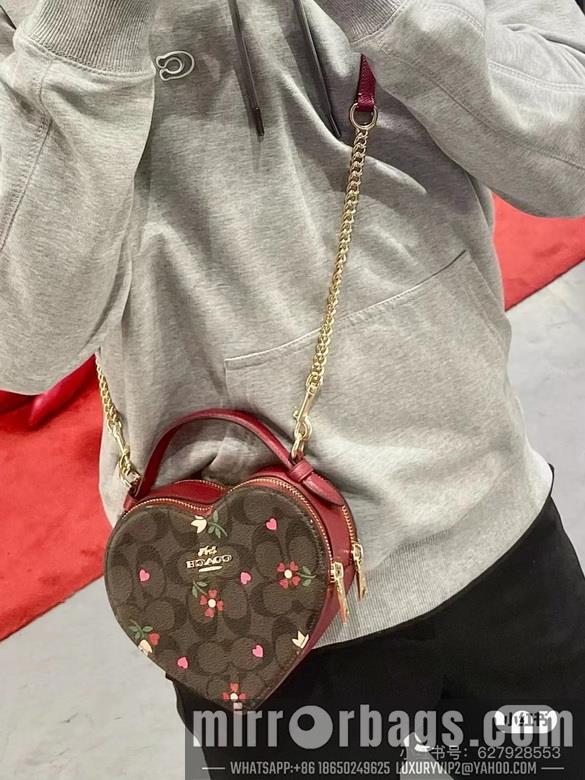 Coach Bags 5118 5119 C8040 JH
