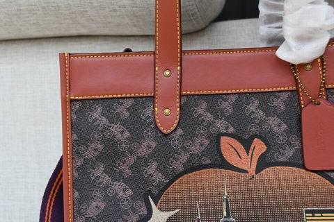 Coach Bags BHC0769 30×30×15