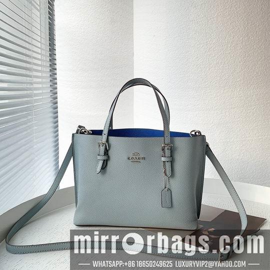 Coach Bags Coach C4250 25x19x110cm zy1