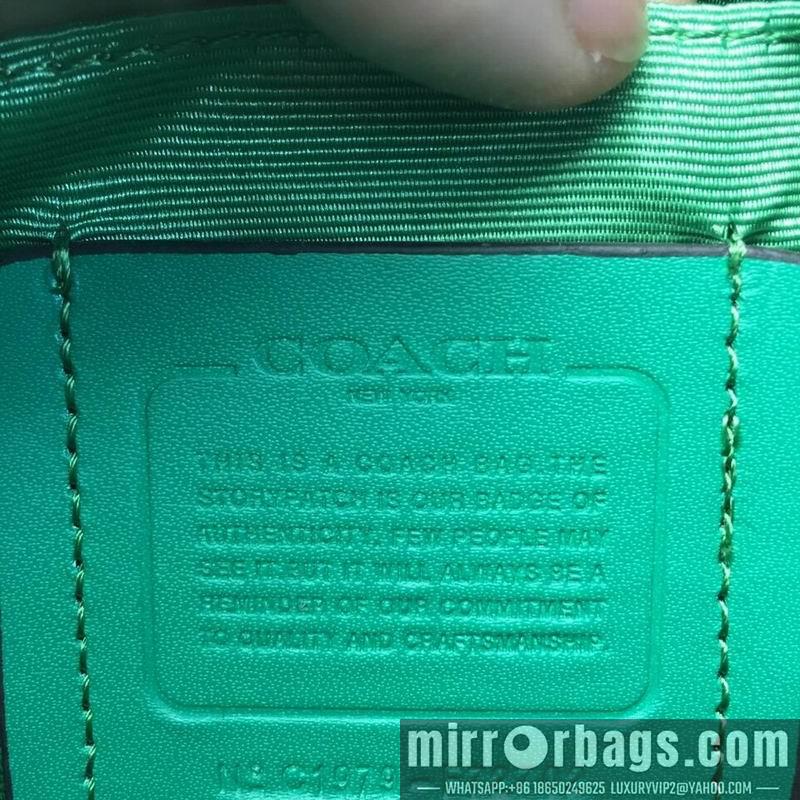 Coach Bags XXL72702 green