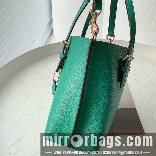 Coach Bags Coach C4250 25x19x110cm zy2