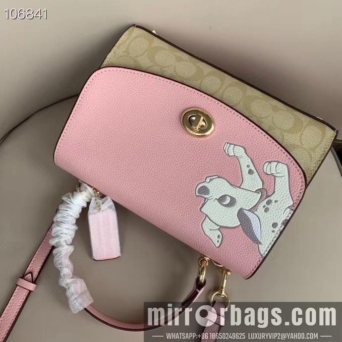 Coach Bags 91128 25X16cm DN
