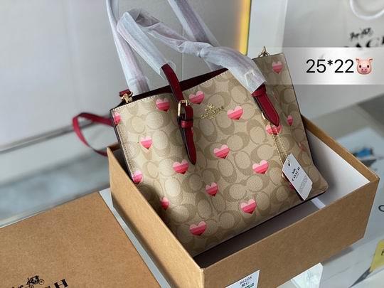 Coach Bags Coach mollie 25x22cm CN