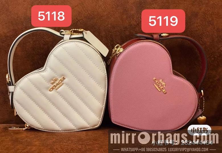 Coach Bags 5118 5119 C8040 JH