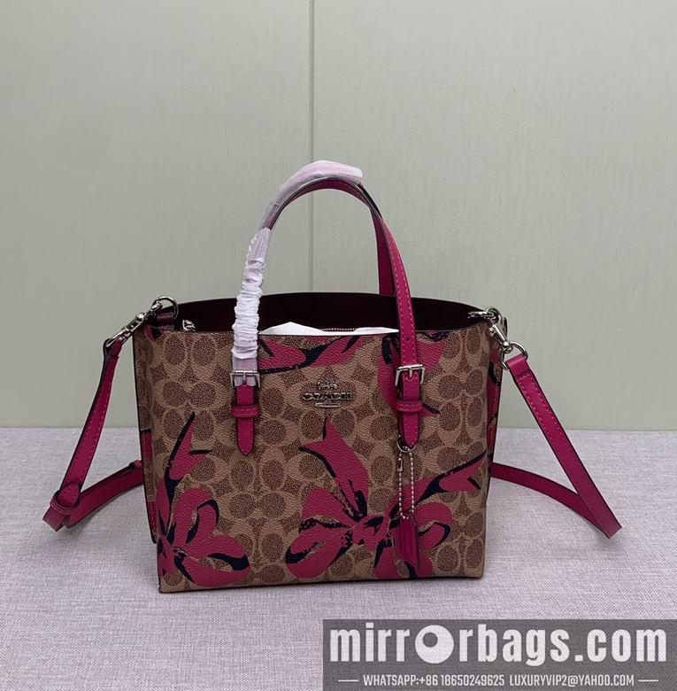Coach Bags CZ767 25X19X11cm AZ 2colour