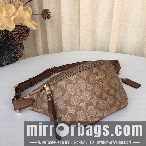 Coach Bags BH48740 30X12X11 two colors