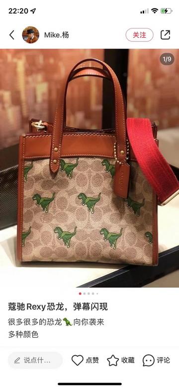 Coach Bags CF083 22X21X12cm JH