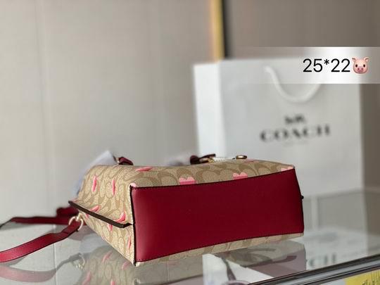 Coach Bags Coach mollie 25x22cm CN