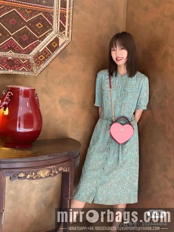Coach Bags 5118 5119 C8040 JH