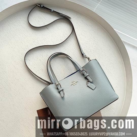 Coach Bags Coach C4250 25x19x110cm zy1