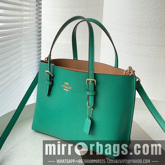 Coach Bags Coach C4250 25x19x110cm zy2