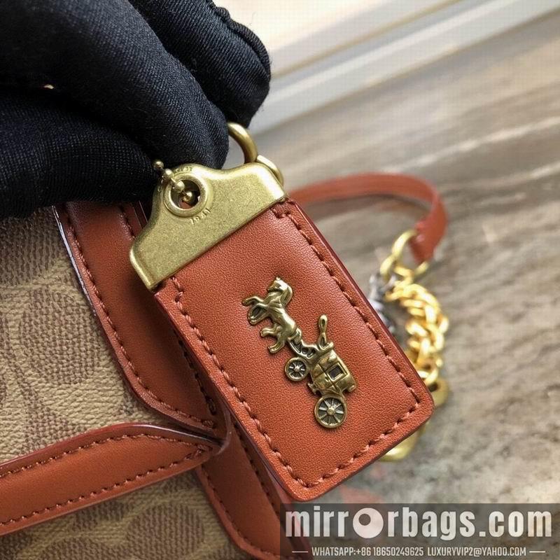 Coach Bags TT61259 brown skin