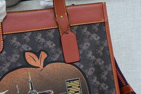 Coach Bags BHC0769 30×30×15
