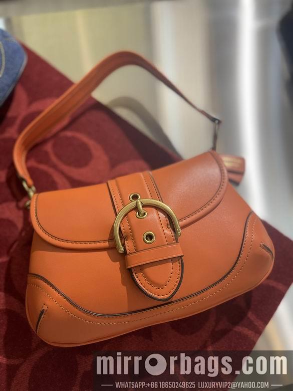Coach Bags 26X18cm 060501 AZ 3