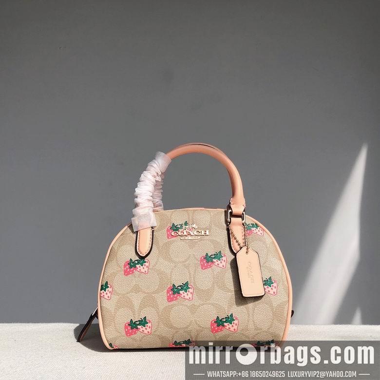 Coach Bags CB596 20.5x12.5x15.5cm