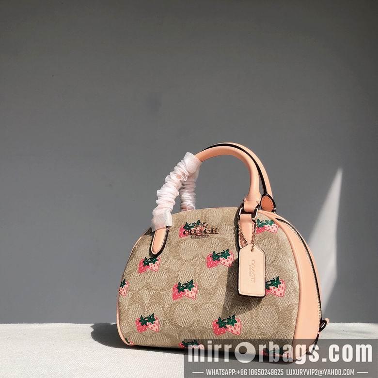 Coach Bags CB596 20.5x12.5x15.5cm