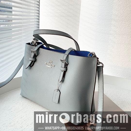 Coach Bags Coach C4250 25x19x110cm zy1