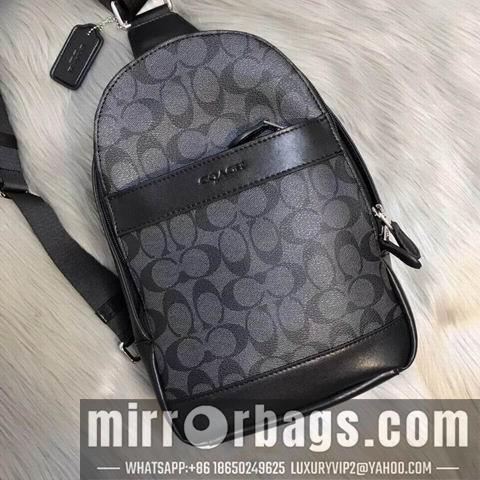 Coach Bags (XXL)54787