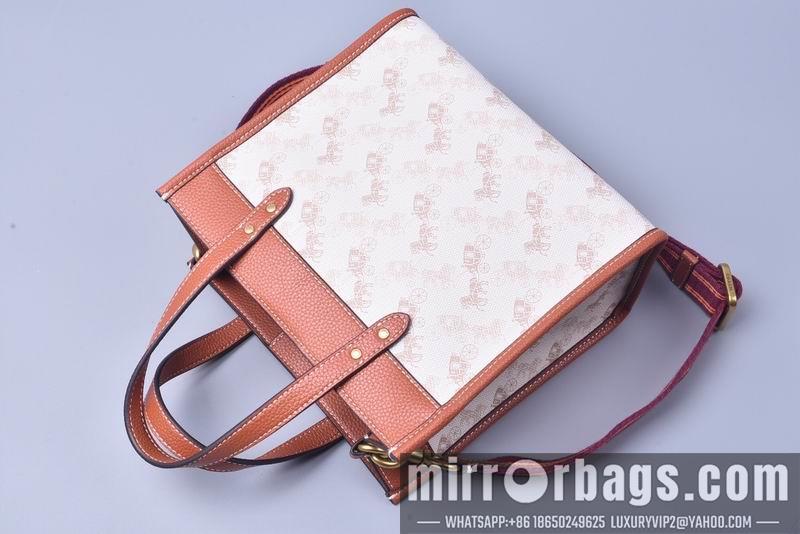 Coach Bags C8456 22X21X12cm JH