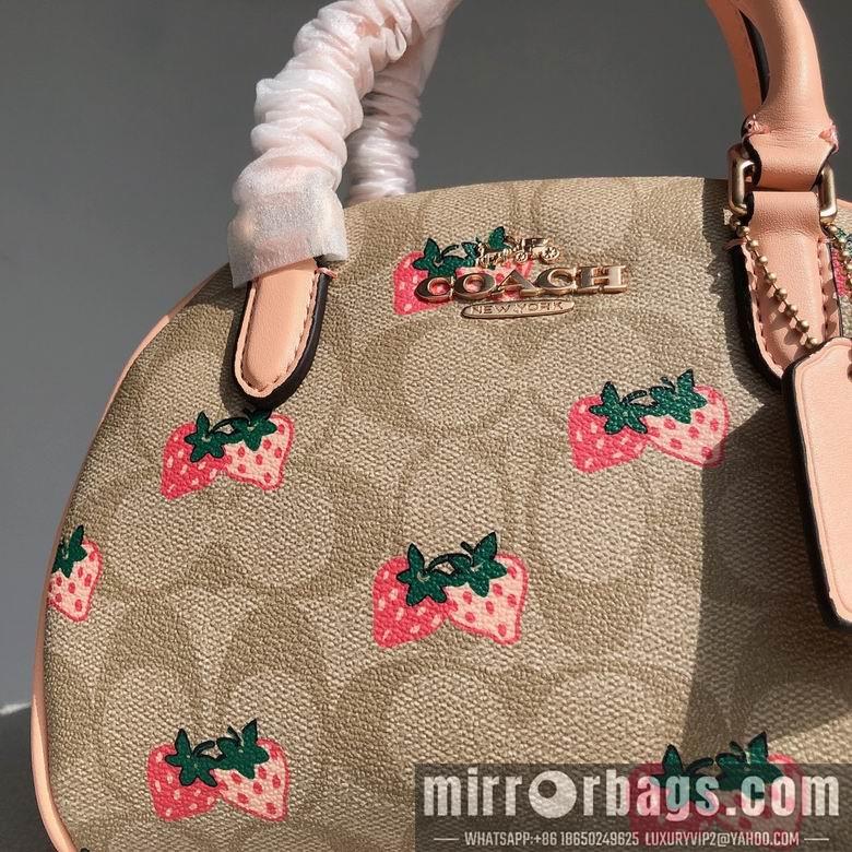 Coach Bags CB596 20.5x12.5x15.5cm