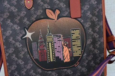 Coach Bags BHC0769 30×30×15