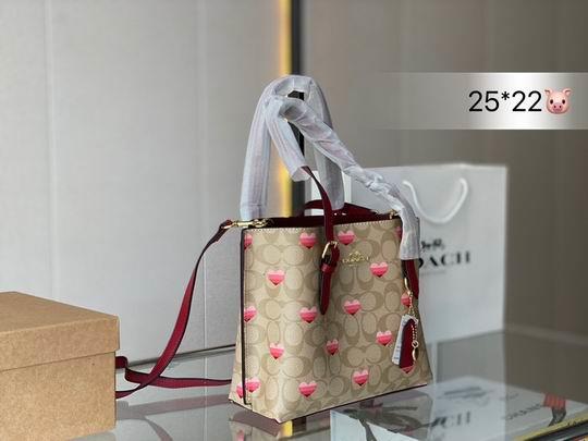 Coach Bags Coach mollie 25x22cm CN
