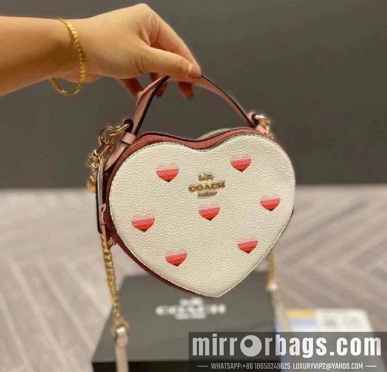 Coach Bags 5118 5119 C8040 JH