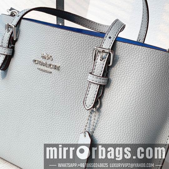 Coach Bags Coach C4250 25x19x110cm zy1