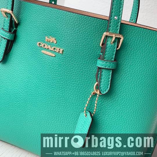 Coach Bags Coach C4250 25x19x110cm zy2