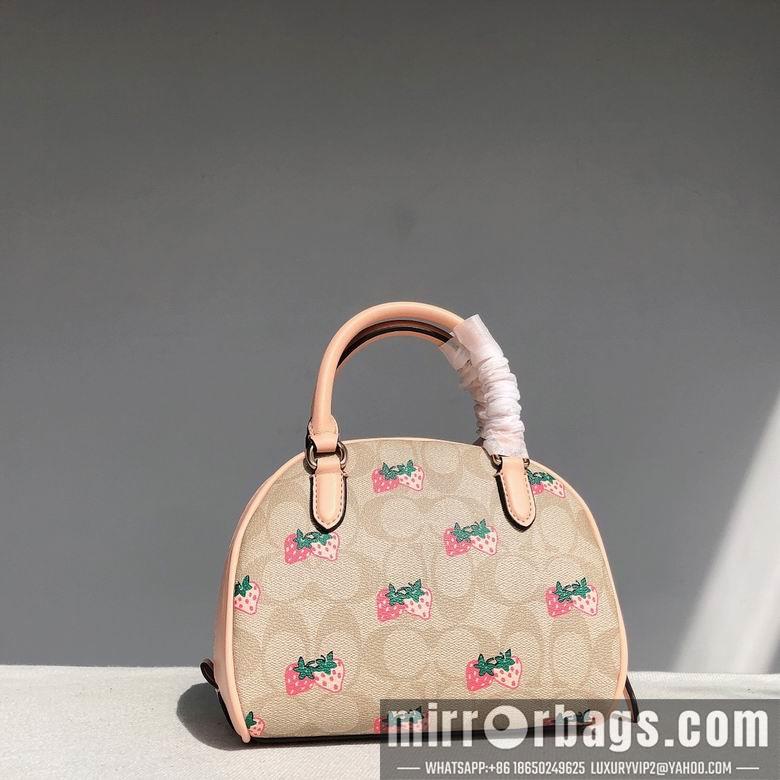 Coach Bags CB596 20.5x12.5x15.5cm