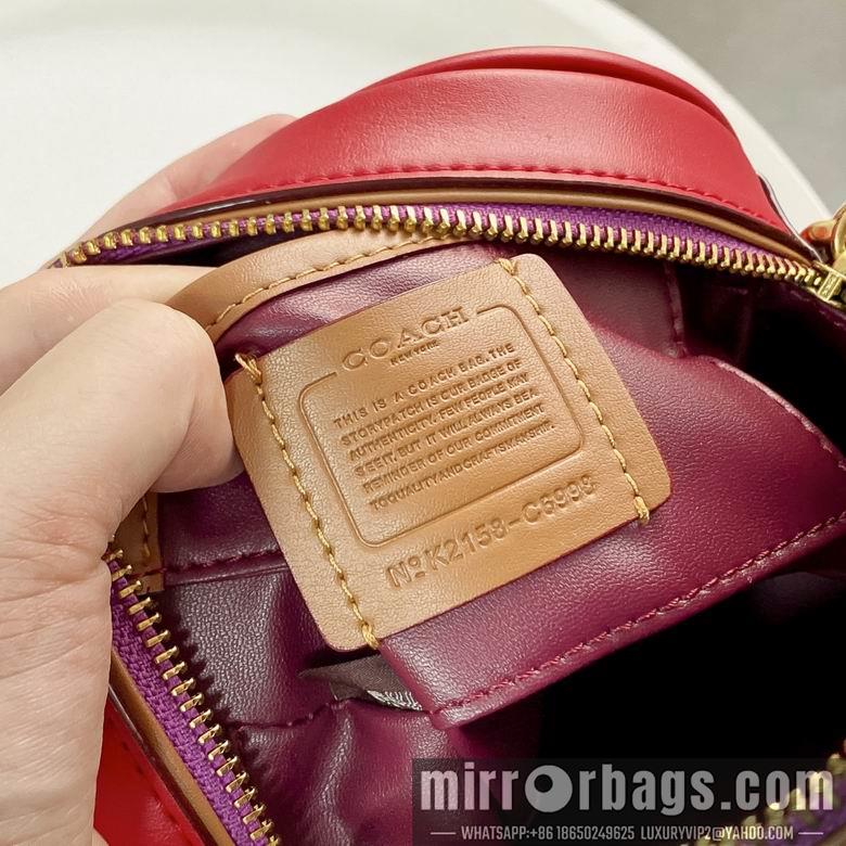 Coach Bags C6998 CA098 18X18X6.5cm DN 3