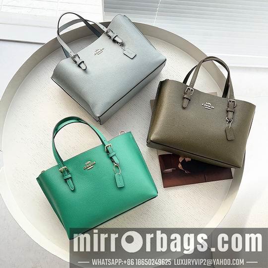 Coach Bags Coach C4250 25x19x110cm zy