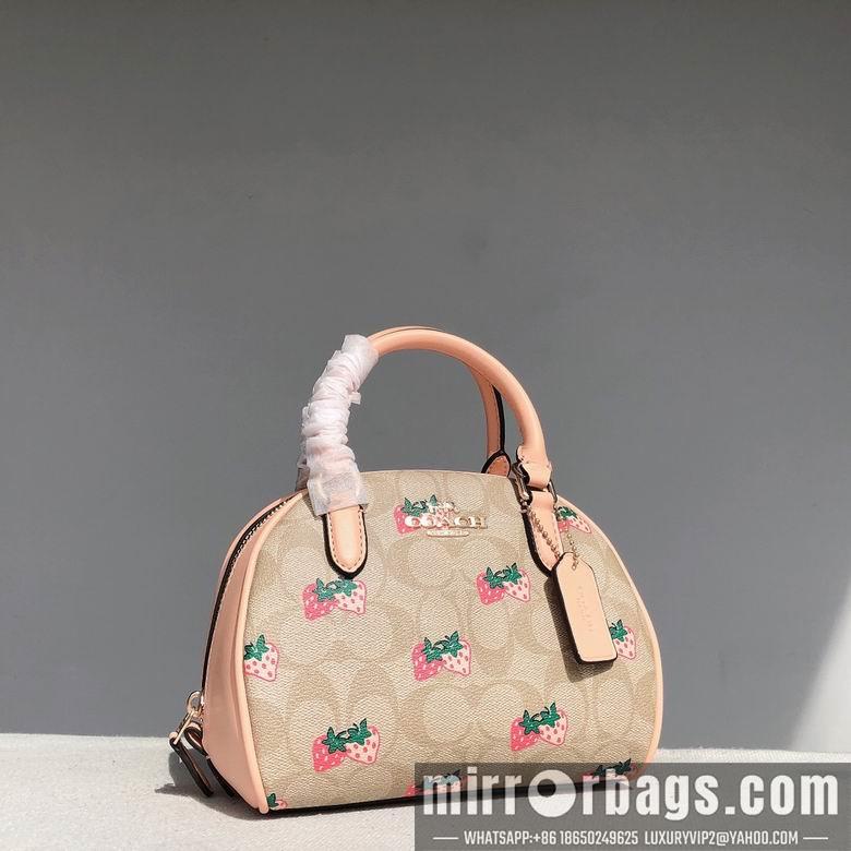 Coach Bags CB596 20.5x12.5x15.5cm