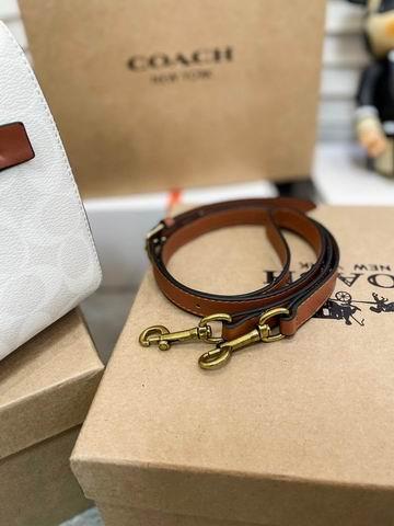 Coach Bags Coach 枕头包 25x15cm CN