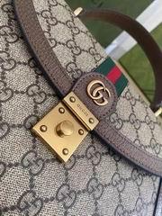Gucci Bags 1:1 Gucci Orphidia 651055 25x17.5x7cm ww3色