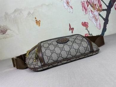 Gucci Bags 1:1 733240 22X15X4cm DF 2colour