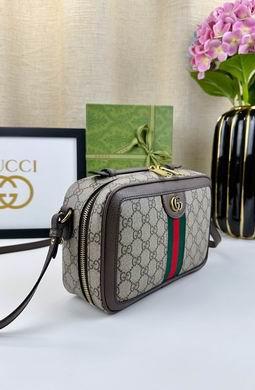Gucci Bags 1:1 Ophidia 739392 24X16X7cm DF 2colour