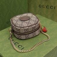 Gucci Bags 1:1 052106 XM 2colour