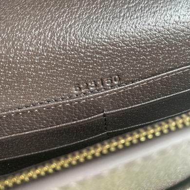 Gucci Bags 1:1 Ophidia 523150 20X12.5X4cm DF