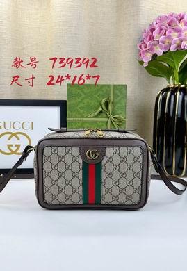 Gucci Bags 1:1 Ophidia 739392 24X16X7cm DF 2colour