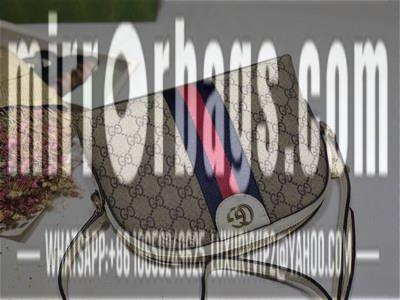 Gucci Bags 1:1 499621 23X19X8CM DF