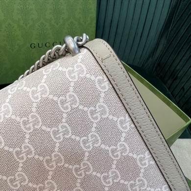 Gucci Bags 1:1 Dionysus 499623 25X13.5X7cm ZY