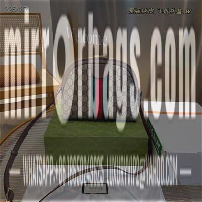 Gucci Bags 1:1 022203 23X9X20cm ZY