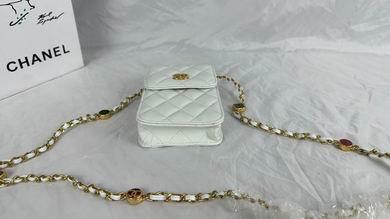 1:1 Chanel Bags 8882 17X13X3cm WO 4colour