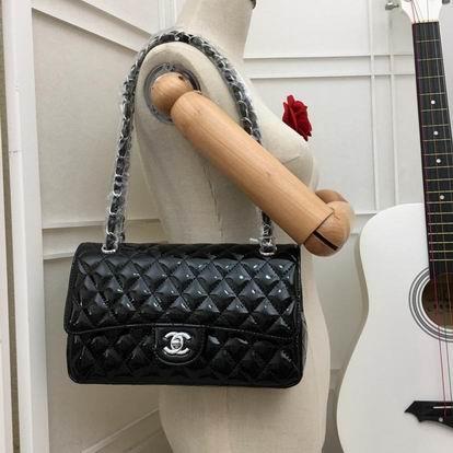 1:1 Chanel Bags WO1112