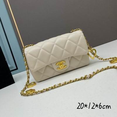 1:1 Chanel Bags Chanel 3457 20x12x6cm ww4色