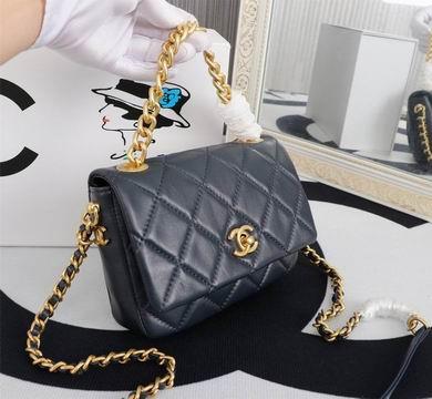 1:1 Chanel Bags WO8046 14X19X4