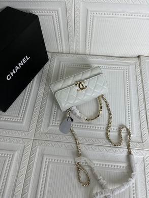 1:1 Chanel Bags 228 18X10cm WO 3colour